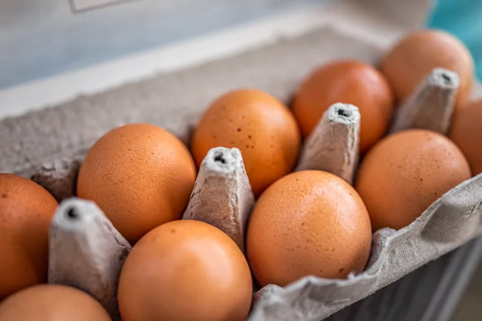 closeup-macro-of-pasture-raised-farm-fresh-dozen-brown-eggs-store-bought-from-farmer-in-carton-box-container-with-speckled-eggshells-texture-stockpack-istock Closeup macro of pasture raised farm fresh dozen brown eggs store bought from farmer in carton box container with speckled eggshells texture