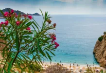 Kazni dosegajo več deset tisoč evrov: školjke in kamenčki s plaže bi vas v teh državah lahko drago stali Kalkan - Kaputaş beach, Turkey