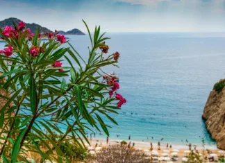 Kazni dosegajo več deset tisoč evrov: školjke in kamenčki s plaže bi vas v teh državah lahko drago stali Kalkan - Kaputaş beach, Turkey