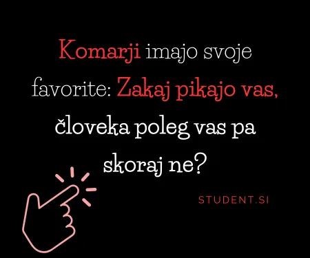 Komarji imajo svoje favorite: Zakaj pikajo vas, človeka poleg vas pa skoraj ne? | Student.si