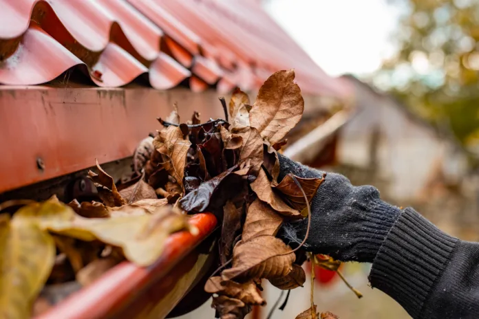 a-gloved-hand-clears-the-gutter-of-a-red-tile-roof-of-fall-leaves-preventing-clogs-and-water-damage-stockpack-istock A gloved hand clears the gutter of a red tile roof of fall leaves, preventing clogs and water damage.