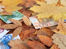 Business concept. European union currency mixed with dry autumn leaves