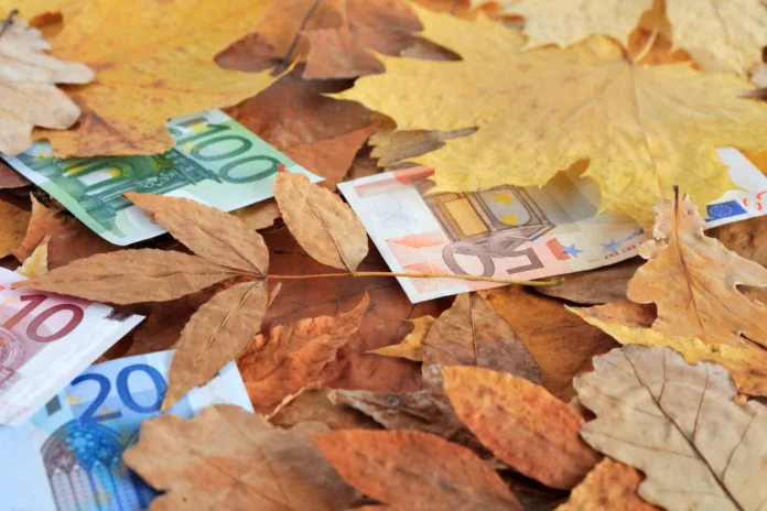 Business concept. European union currency mixed with dry autumn leaves